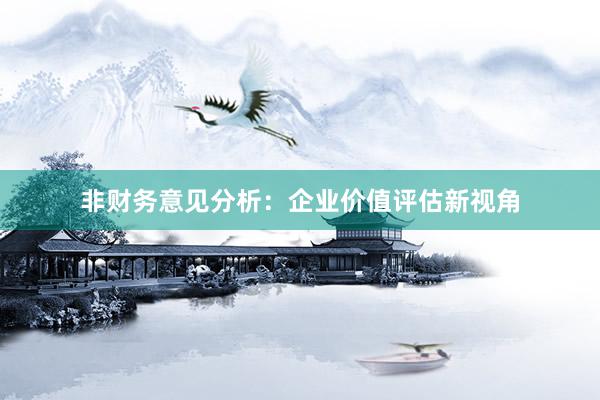 非财务意见分析：企业价值评估新视角
